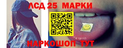 шишки Кингисепп