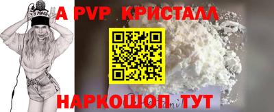 шишки Кингисепп