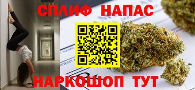 шишки Кингисепп