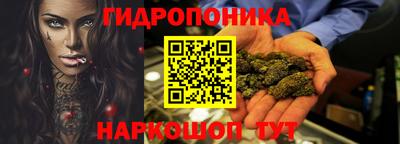 шишки Кингисепп