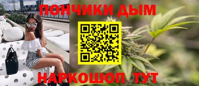 шишки Кингисепп