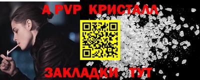 шишки Кингисепп