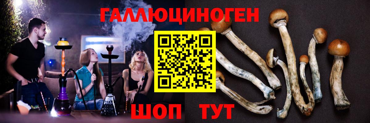 Краснодар  Псилоцибиновые грибы Psilocybe  Вход с VPN 