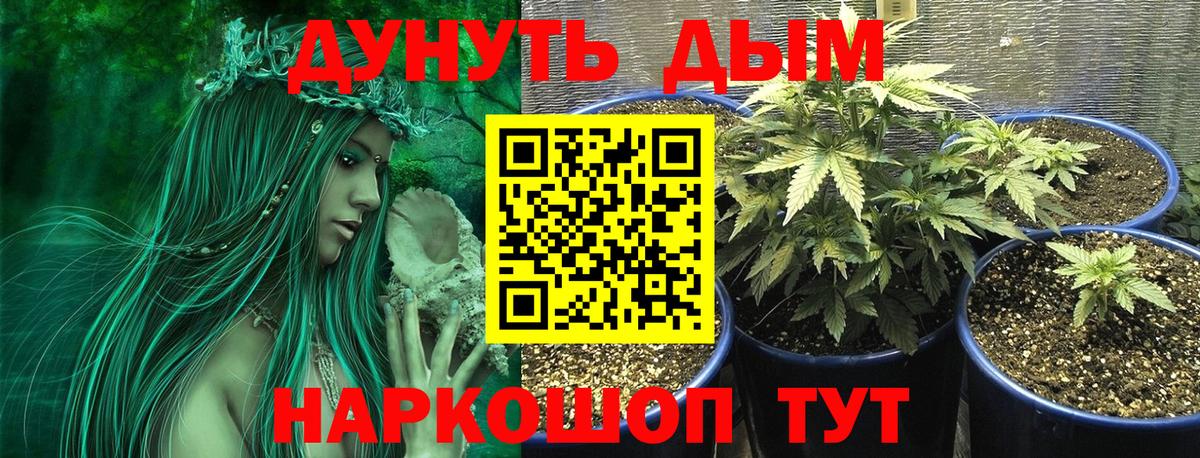 Краснодар  Канабис планчик  МАРИХУАНА марихуана  Канабис SATIVA & INDICA  Вход с VPN 